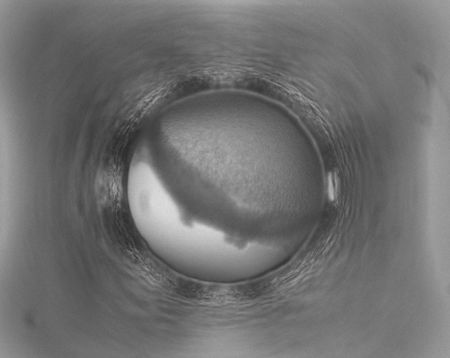 X0000116061155200911201450