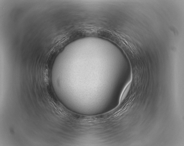 X0000116061156200911201450