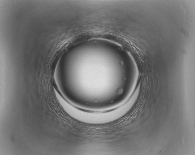 X0000116061157200911201450