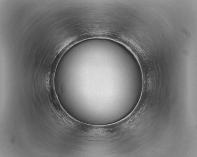 X0000116061162200911201450