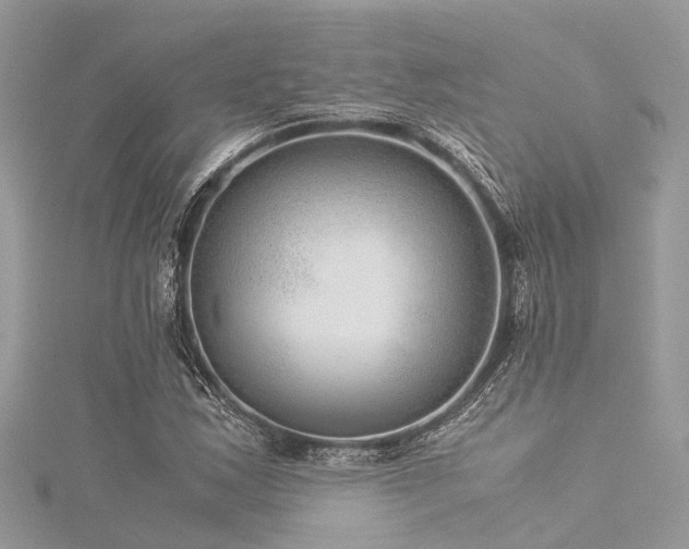 X0000116061163200911201450