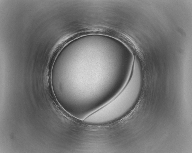 X0000116061172200911201450