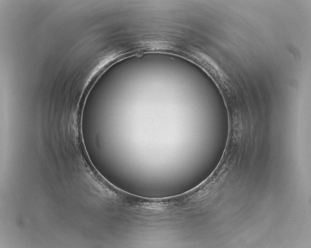X0000116061182200911201450