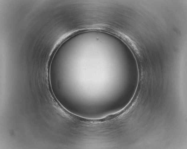 X0000116061184200911201450