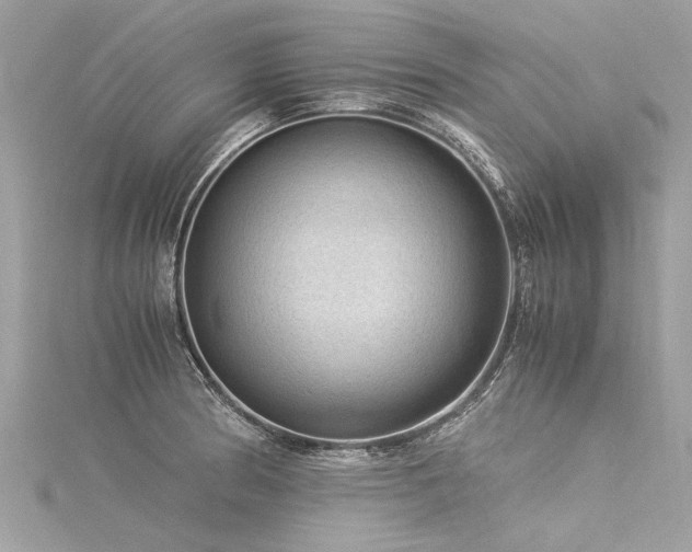 X0000116061186200911201449