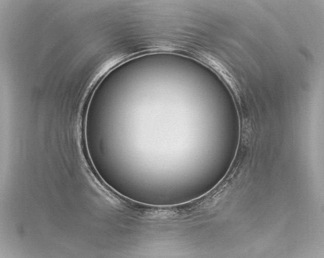 X0000116061187200911201449