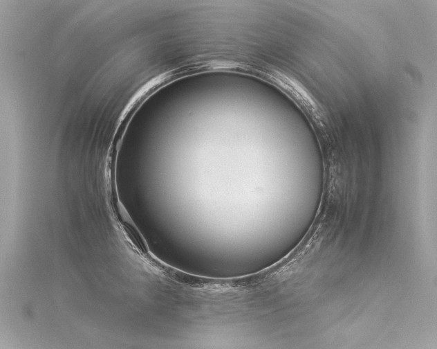 X0000116061190200911201449