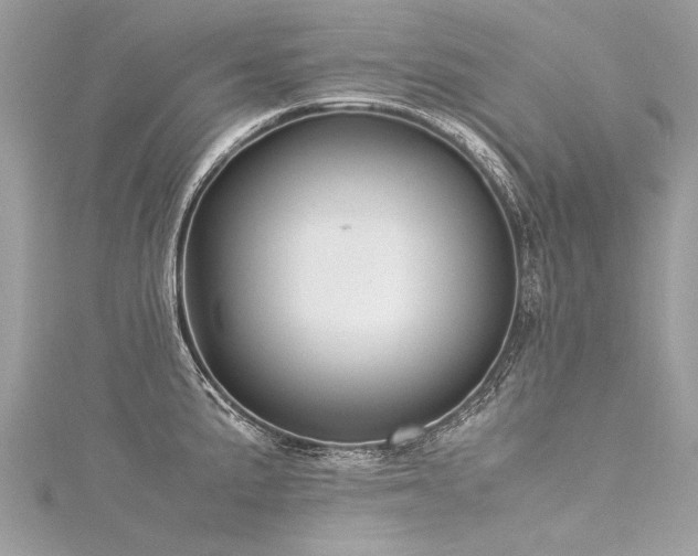 X0000116061191200911201449
