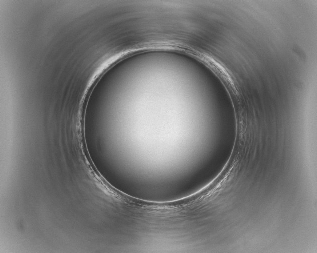 X0000116061192200911201449