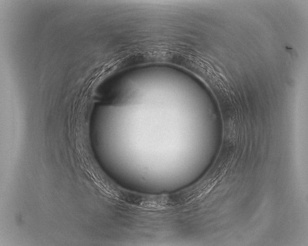 X0000116061201200911201449