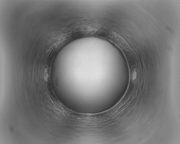X0000116061204200911201449
