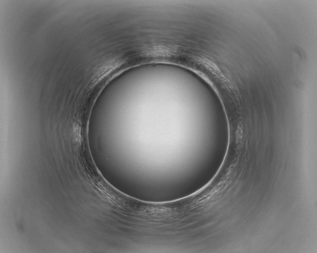 X0000116061209200911201449