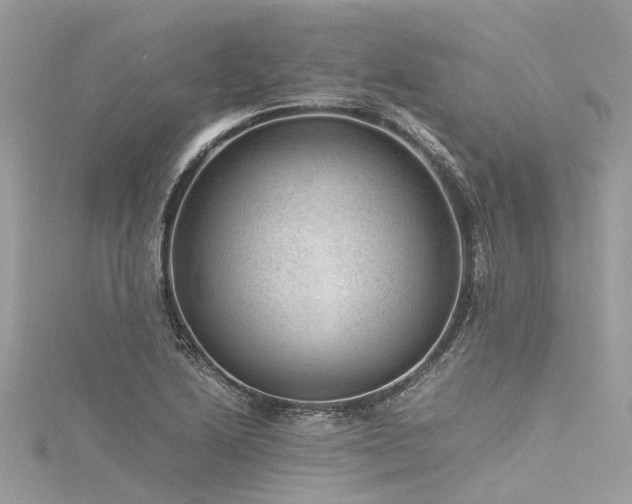 X0000116061222200911201449