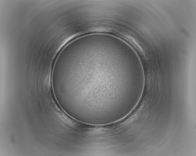 X0000116061228200911201449