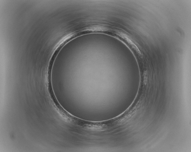 X0000116061229200911201449