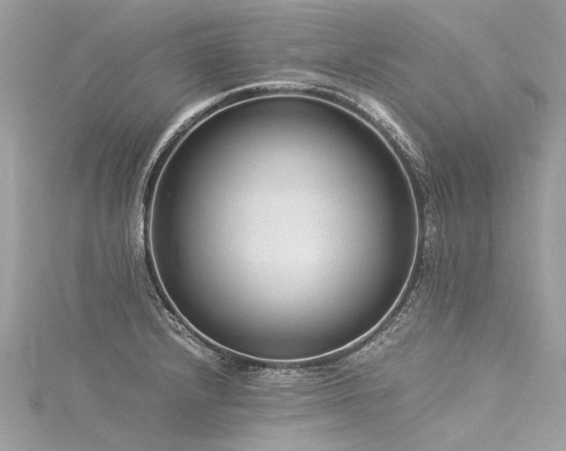 X0000116061232200911201449