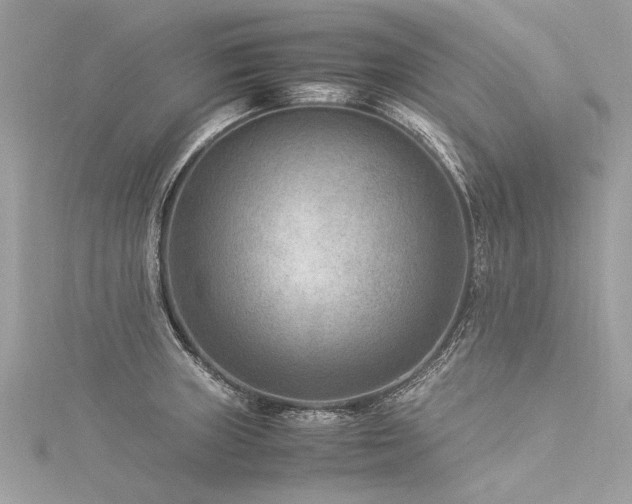X0000116061235200911201449