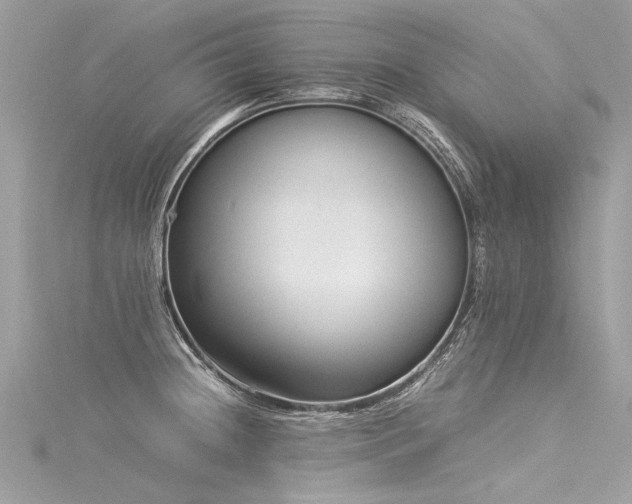 X0000116061236200911201449