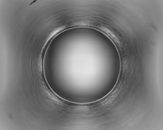 X0000116061238200911201449