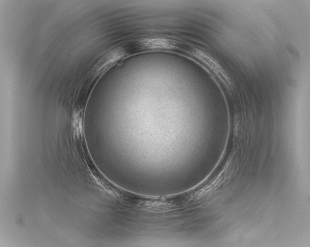 X0000116061241200911201449