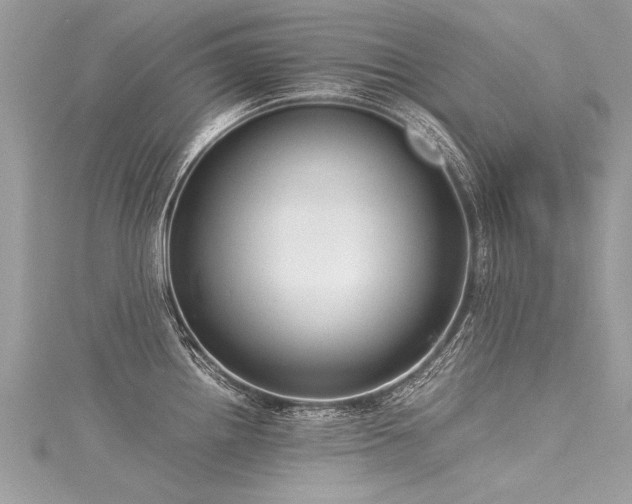 X0000116061242200911201449