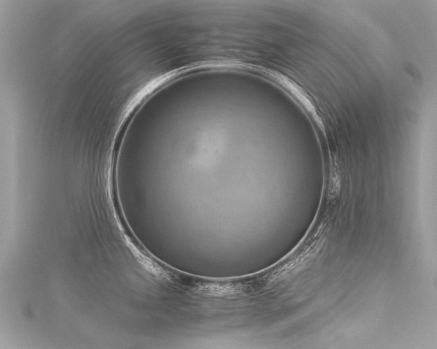 X0000116061245200911201449