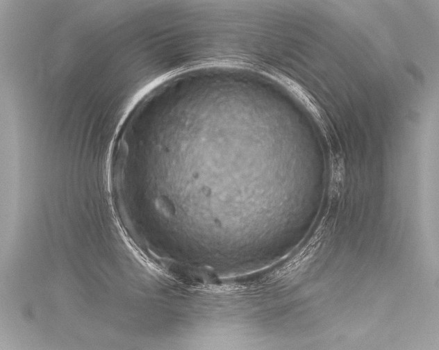 X0000116061246200911201449