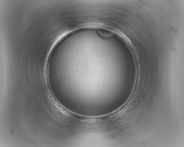 X0000116061248200911201449