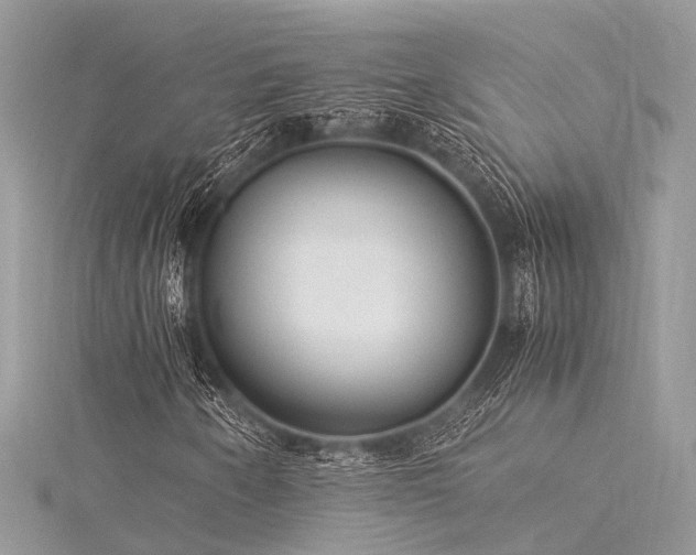 X0000116061250200911201449