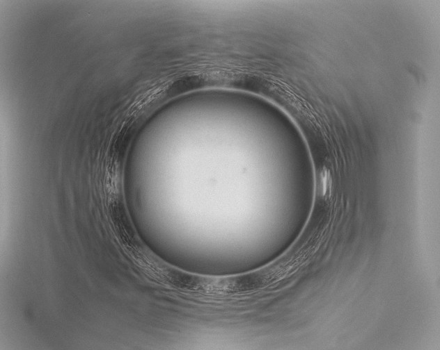 X0000116061251200911201449