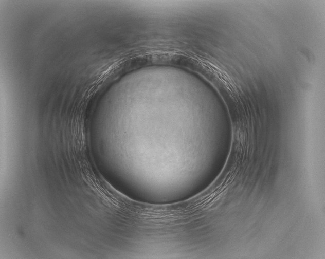 X0000116061252200911201449