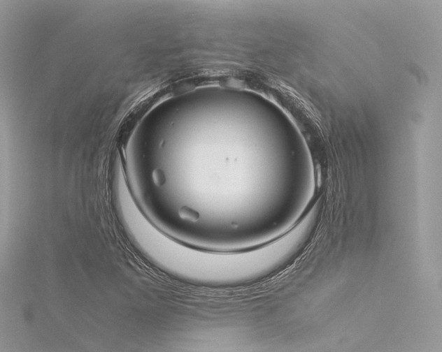 X0000116061261200911201449