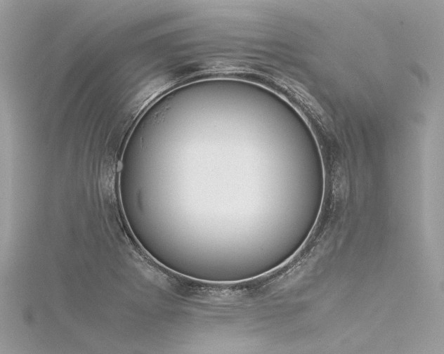 X0000116061273200911201448