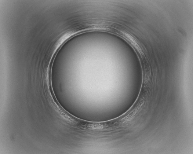 X0000116061291200911201448