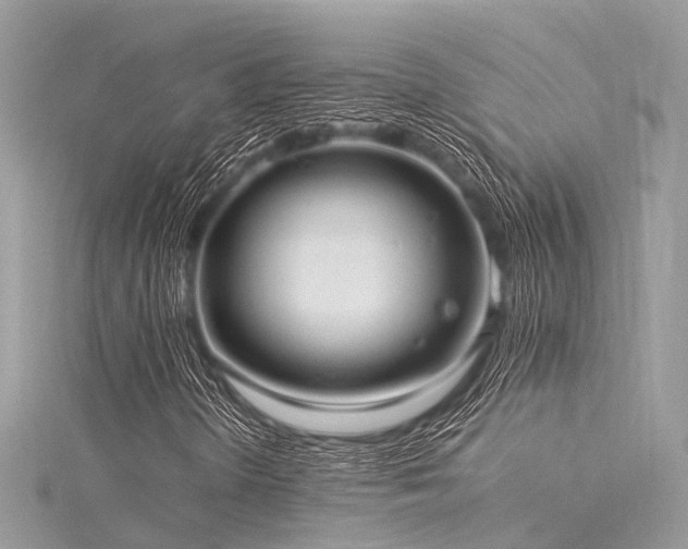 X0000116061298200911201447