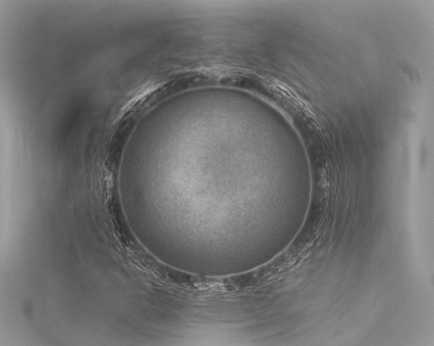 X0000116061302200911201447