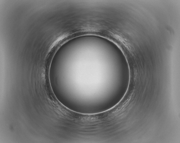 X0000116061307200911201447
