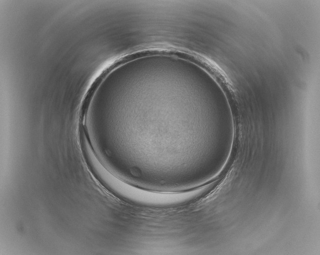 X0000116061326200911201448