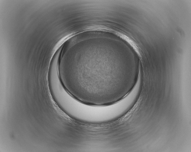 X0000116061330200911201448