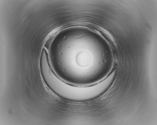 X0000116061338200911201448