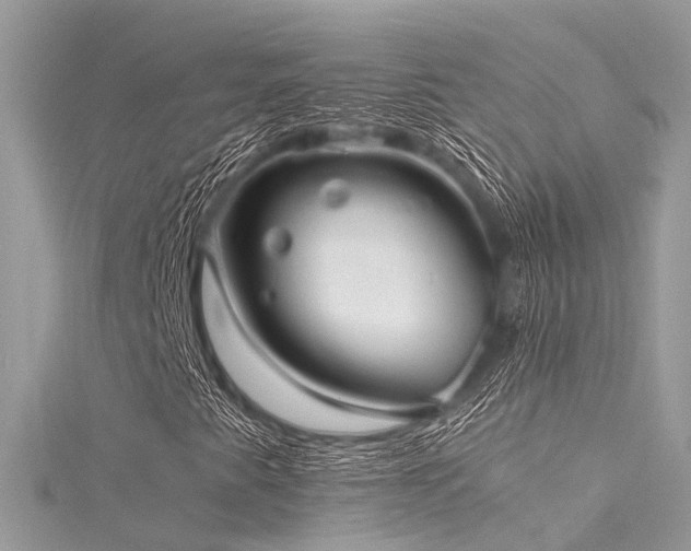 X0000116061345200911201447