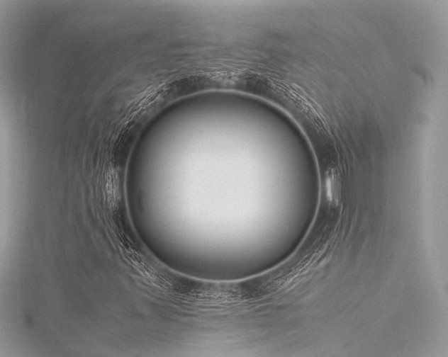 X0000116061347200911201447