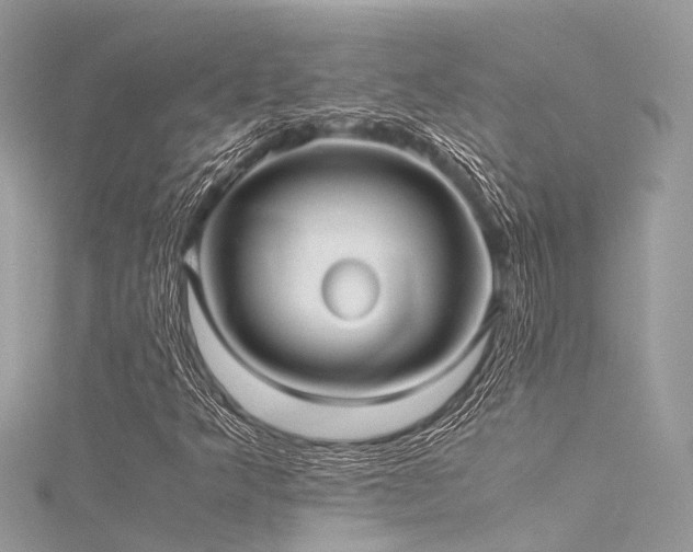X0000116061349200911201447