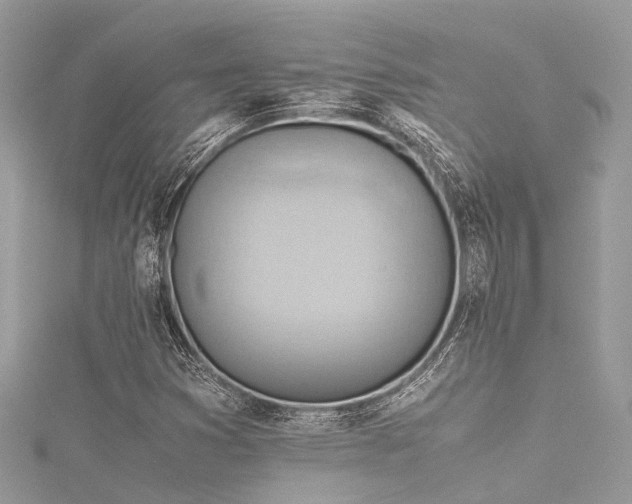 X0000116061353200911201447