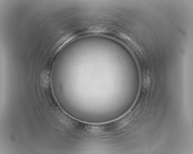 X0000116061361200911201447