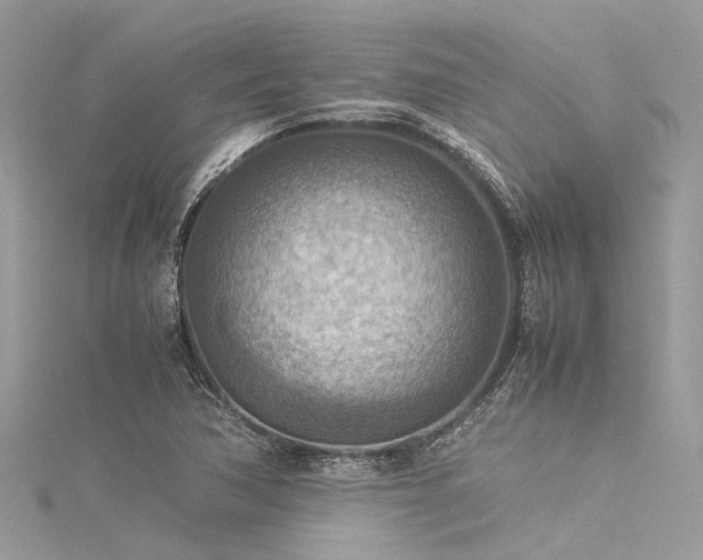 X0000116061362200911201447