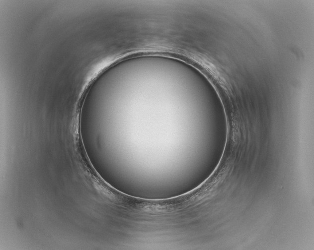 X0000116061366200911201447