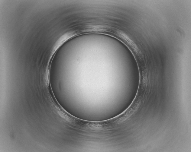 X0000116061370200911201447
