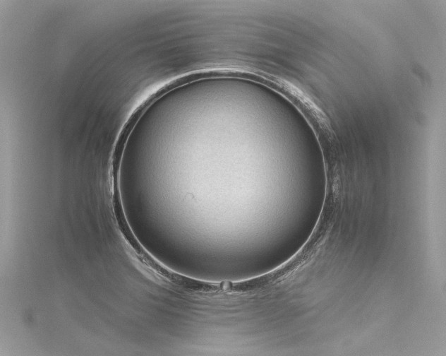 X0000116061372200911201447