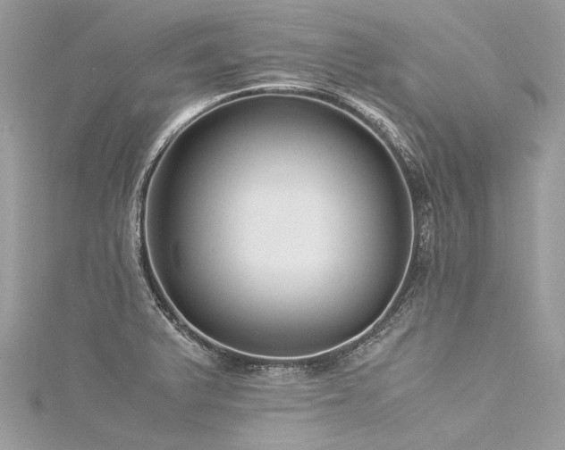 X0000116061375200911201447